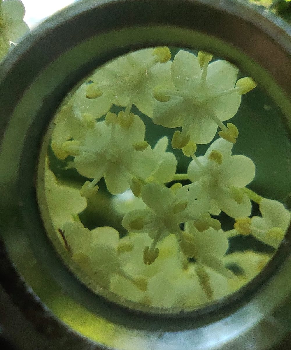 281730aa-3859-45a0-a770-fddf7f2afe5b