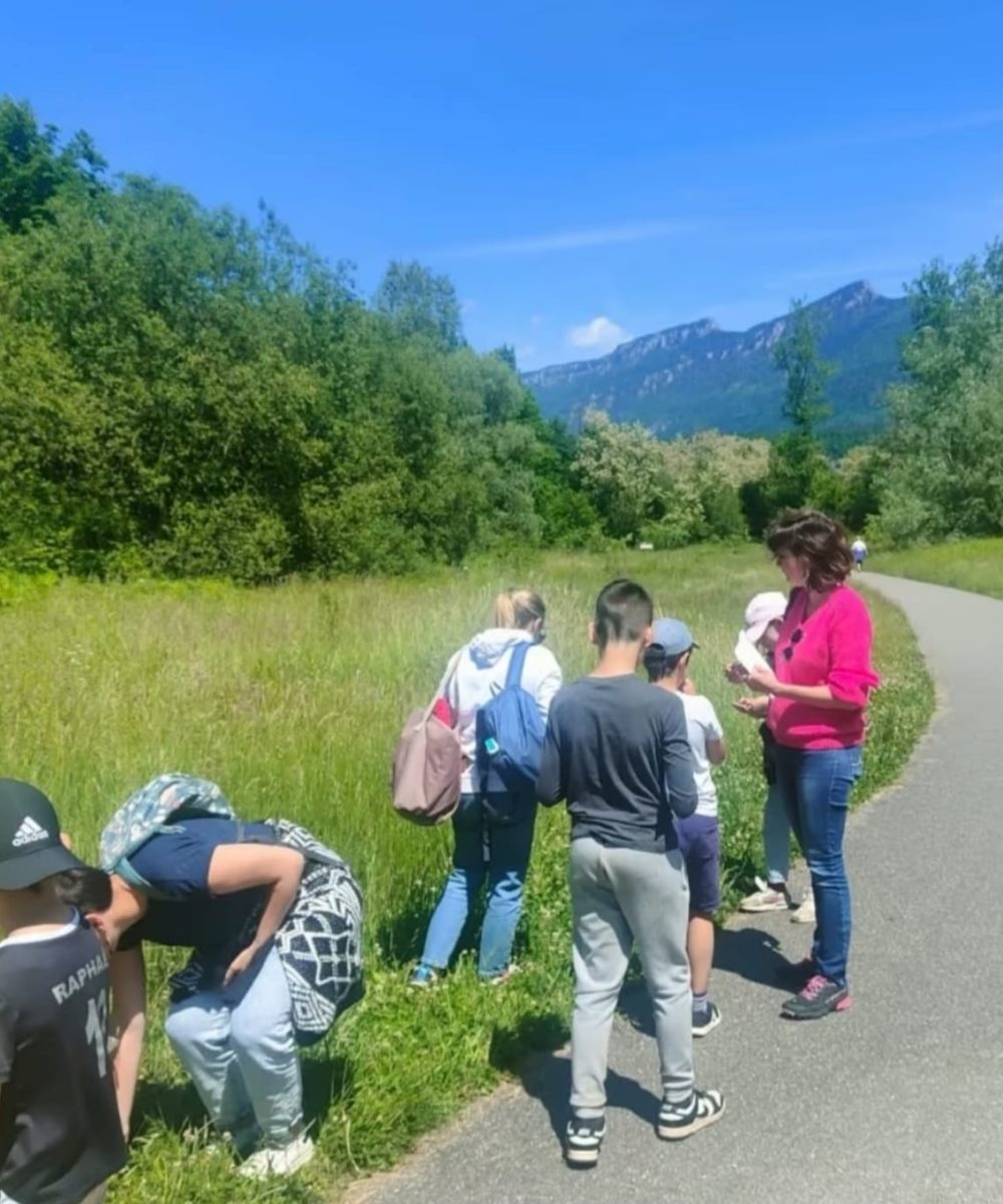 cc278e52-06fd-4b20-9f50-ef4be84ced2b